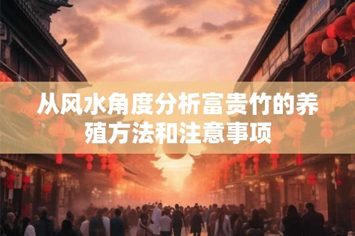 从风水角度分析富贵竹的养殖方法和注意事项