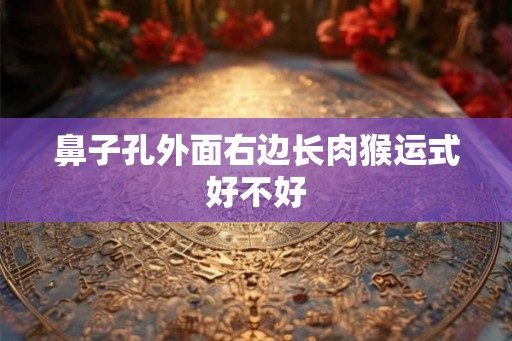 鼻子孔外面右边长肉猴运式好不好