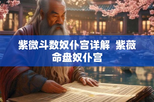 紫微斗数奴仆宫详解  紫薇命盘奴仆宫