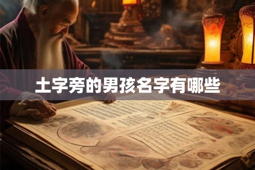 土字旁的男孩名字有哪些