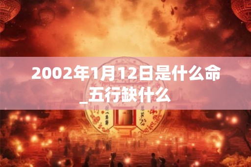2002年1月12日是什么命_五行缺什么