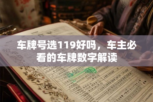 车牌号选119好吗,车主必看的车牌数字解读 车牌号选119好吗,车主必看的车牌数字解读