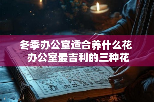 冬季办公室适合养什么花  办公室最吉利的三种花