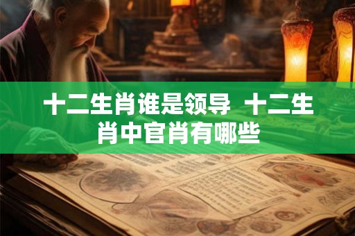十二生肖谁是领导  十二生肖中官肖有哪些