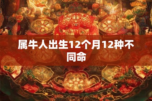 属牛人出生12个月12种不同命
