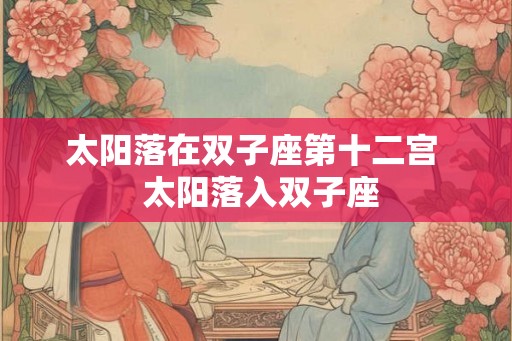 太阳落在双子座第十二宫  太阳落入双子座