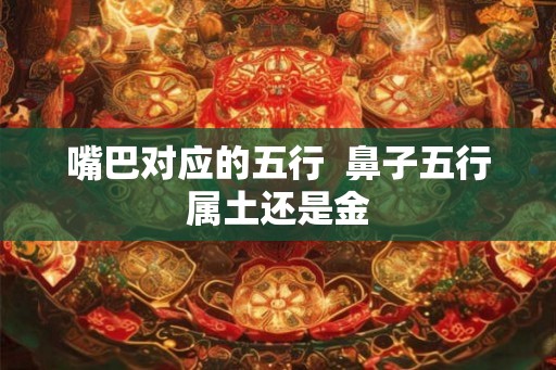 嘴巴对应的五行  鼻子五行属土还是金