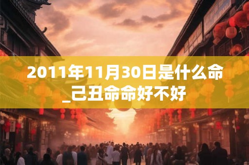 2011年11月30日是什么命_己丑命命好不好