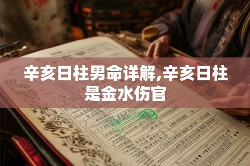 辛亥日柱男命详解,辛亥日柱是金水伤官