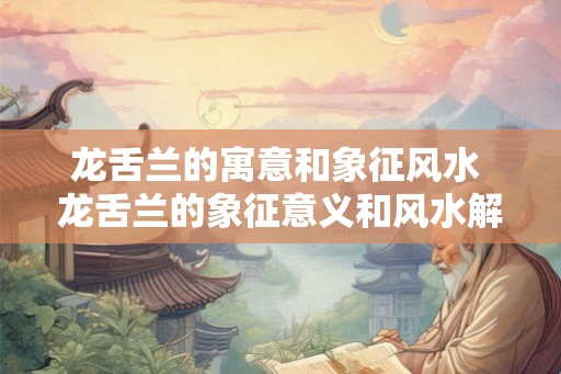 龙舌兰的寓意和象征风水 龙舌兰的象征意义和风水解析