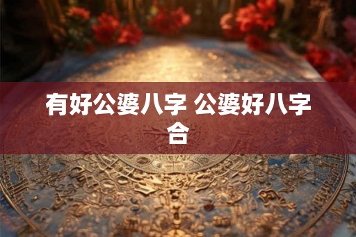 有好公婆八字 公婆好八字合