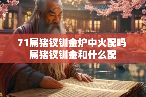 71属猪钗钏金炉中火配吗 属猪钗钏金和什么配