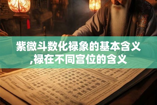 紫微斗数化禄象的基本含义,禄在不同宫位的含义