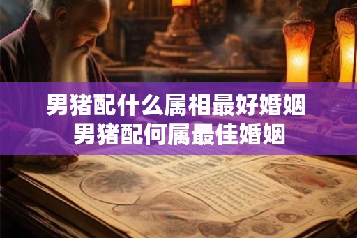 男猪配什么属相最好婚姻 男猪配何属最佳婚姻