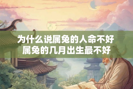 为什么说属兔的人命不好 属兔的几月出生最不好