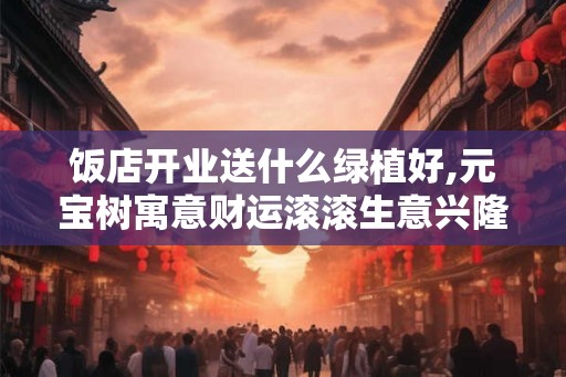 饭店开业送什么绿植好,元宝树寓意财运滚滚生意兴隆