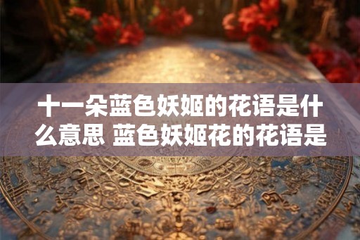 十一朵蓝色妖姬的花语是什么意思 蓝色妖姬花的花语是什么