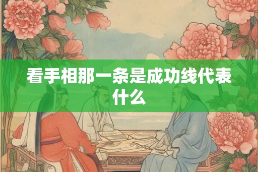看手相那一条是成功线代表什么