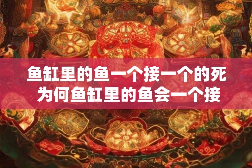 鱼缸里的鱼一个接一个的死 为何鱼缸里的鱼会一个接一个的死 鱼缸里的鱼一个接一个的死 为何鱼缸里的鱼会一个接一个的死