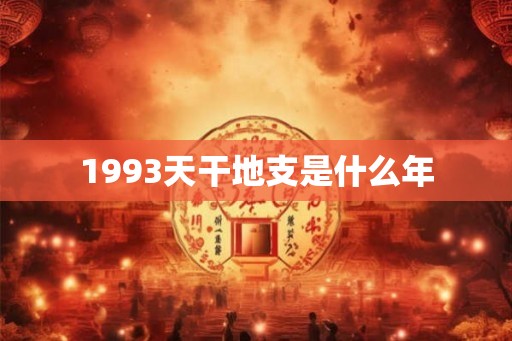 1993天干地支是什么年