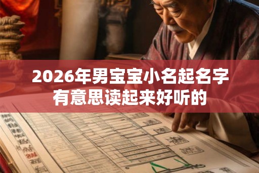 2026年男宝宝小名起名字有意思读起来好听的