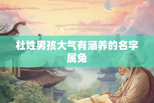 杜姓男孩大气有涵养的名字属兔
