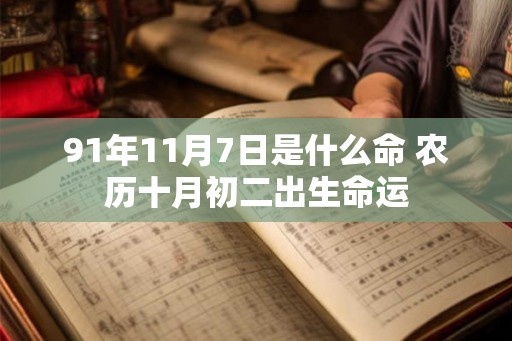 91年11月7日是什么命 农历十月初二出生命运