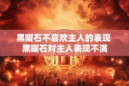 黑曜石不喜欢主人的表现 黑曜石对主人表现不满