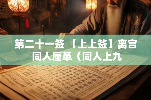 第二十一签 【上上签】离宫 同人厘革（同人上九