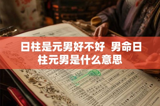 日柱是元男好不好  男命日柱元男是什么意思