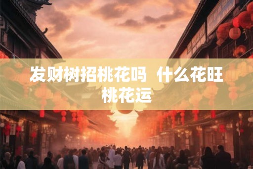 发财树招桃花吗  什么花旺桃花运