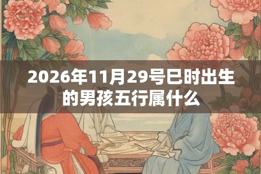 2026年11月29号巳时出生的男孩五行属什么