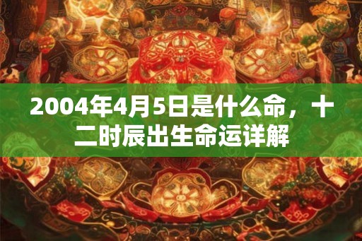 2004年4月5日是什么命，十二时辰出生命运详解