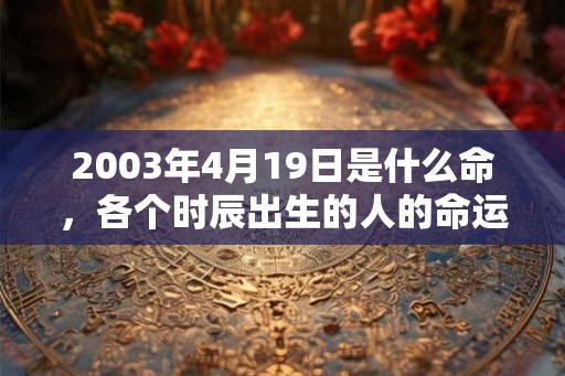 2003年4月19日是什么命，各个时辰出生的人的命运
