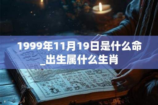 1999年11月19日是什么命_出生属什么生肖