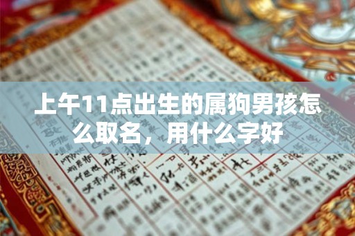 上午11点出生的属狗男孩怎么取名，用什么字好