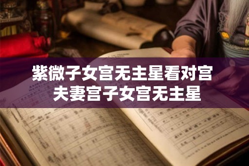 紫微子女宫无主星看对宫  夫妻宫子女宫无主星