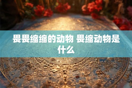 畏畏缩缩的动物 畏缩动物是什么