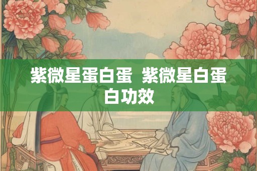 紫微星蛋白蛋  紫微星白蛋白功效