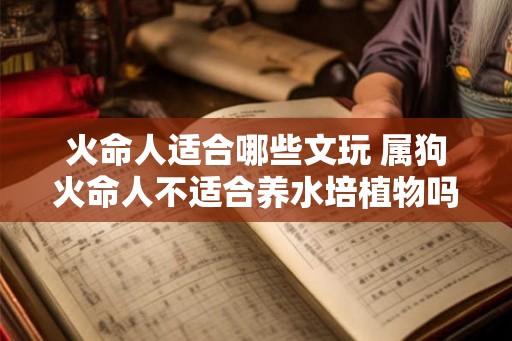火命人适合哪些文玩 属狗火命人不适合养水培植物吗