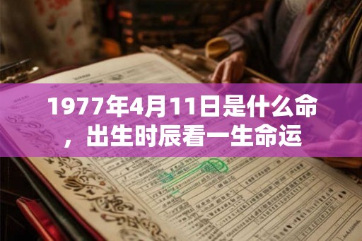 1977年4月11日是什么命，出生时辰看一生命运