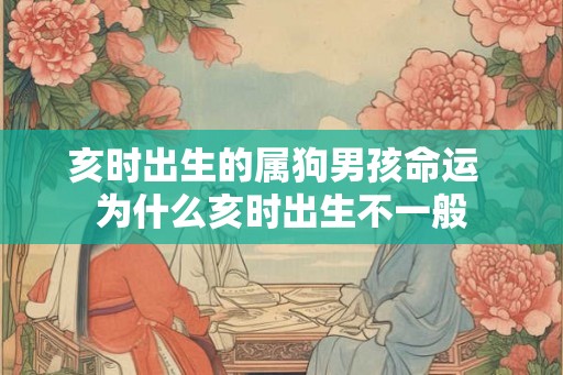 亥时出生的属狗男孩命运 为什么亥时出生不一般 亥时出生的属狗男孩命运 为什么亥时出生不一般