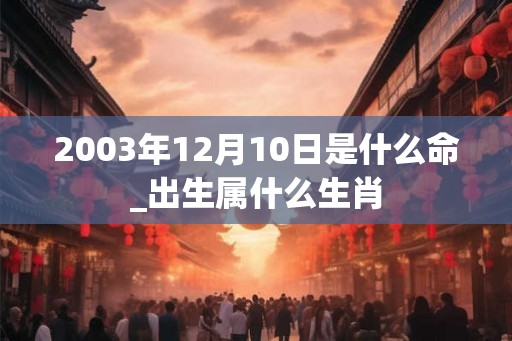 2003年12月10日是什么命_出生属什么生肖