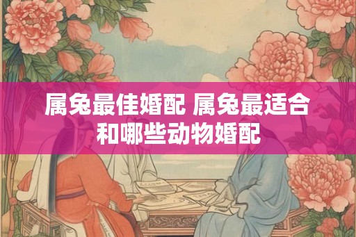 属兔最佳婚配 属兔最适合和哪些动物婚配
