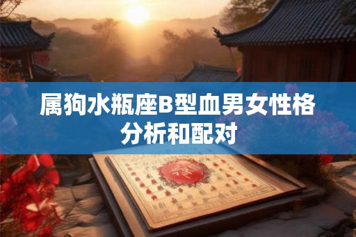 属狗水瓶座B型血男女性格分析和配对