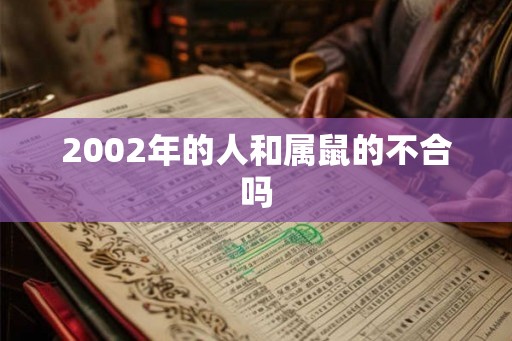 2002年的人和属鼠的不合吗