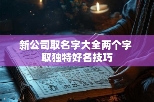新公司取名字大全两个字 取独特好名技巧