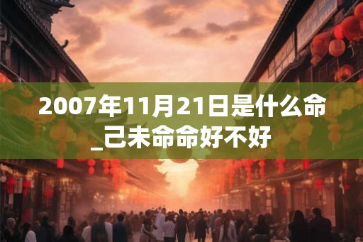 2007年11月21日是什么命_己未命命好不好