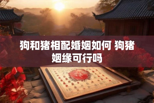 狗和猪相配婚姻如何 狗猪姻缘可行吗