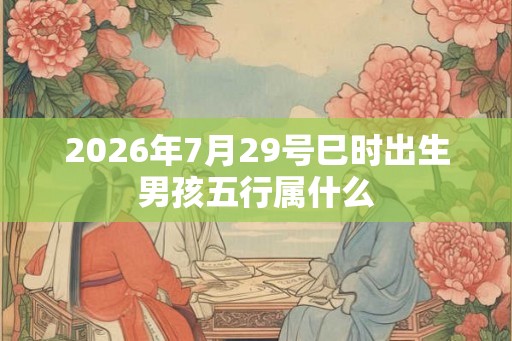 2026年7月29号巳时出生男孩五行属什么
